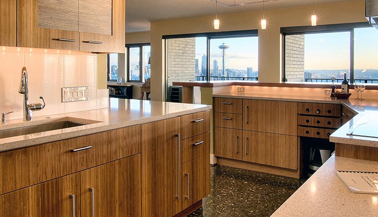 Mucci / Truckess Architecture Queen Anne Panorama - Kitchen